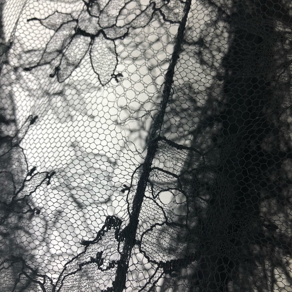 Alexander McQueen Chantilly Lace Ruffle Blouse - Picture 7 of 8